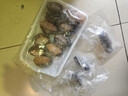 海文銘福州正宗金湯佛跳墻十參十鮑1600g大盆菜海參鮑魚(yú)加熱即食預制菜 曬單實(shí)拍圖
