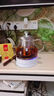 半球玻璃長嘴燒水壺家用功夫茶煮開水壺小電茶壺透明保溫藍(lán)光電熱水壺泡茶專用 1L 316不銹鋼發(fā)熱盤玻璃壺-無茶葉網(wǎng) 曬單實拍圖