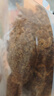 三只松鼠豬肉脯500g 原味靖江風(fēng)味豬肉脯肉干肉脯休閑零食整箱量販 曬單實(shí)拍圖
