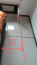 汾酒杏花村汾酒 竹葉青酒 金象竹葉青 露酒 45度 500mL 2瓶 裝 青瓷30版 曬單實(shí)拍圖