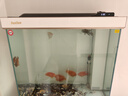 森森（SUNSUN）大型魚(yú)缸底過(guò)濾水族箱客廳家用落地玻璃生態(tài)金魚(yú)缸 【實(shí)時(shí)溫顯+燈控】珍珠白 0.8米長(zhǎng)35cm寬 曬單實(shí)拍圖