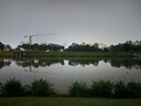 小鳳仙高亮夜光漂L-DL咬鉤變色浮漂日夜兩用高靈敏魚(yú)漂醒目野釣電子漂 曬單實(shí)拍圖