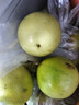 黃金百香果欽蜜9號(hào)新鮮當(dāng)季現(xiàn)摘精選好果水果百香果鮮果酸甜可口 欽蜜9號(hào)黃金百香果40~60g中果1斤 曬單實(shí)拍圖