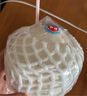 【整箱】泰國香水椰青9粒裝 單粒900g 曬單實拍圖