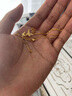 周大福 流蘇蝴蝶黃金項鏈(工費620)40cm 約4.8g EOF1058七夕禮物 曬單實(shí)拍圖