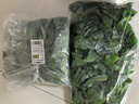 花沃里仿真藤條綠蘿葉過(guò)膠 綠植假花裝飾綠葉年會(huì)婚慶吊頂藤蔓99片5條裝 曬單實(shí)拍圖