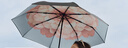 蕉下（beneunder）防紫外線(xiàn)遮陽(yáng)傘三折雙層黑膠晴雨傘防曬傘BM664花椿 曬單實(shí)拍圖