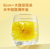 京東京造金絲皇菊30大朵【京東自營(yíng)】安徽黃山菊花茶一杯一朵獨立包裝 曬單實(shí)拍圖