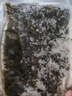 鮮海帶 鹽漬海帶絲 涼拌菜海帶絲食材鮮嫩 新鮮鹽漬海帶絲500g 曬單實(shí)拍圖