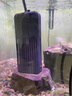 創(chuàng)寧魚缸變頻加熱棒 CN-028-500W 自動(dòng)恒溫 烏龜小型迷你數(shù)顯加溫器 曬單實(shí)拍圖