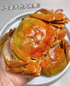 【活蟹】陽澄沁沁大閘蟹 鮮活大湖螃蟹全母蟹 海鮮水產(chǎn)生鮮禮盒裝 【八只裝】全母蟹2.8-3.1兩 曬單實(shí)拍圖