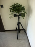 快朵小屋加粗加厚1.8米加高款 投影儀支架 投影機落地三腳架帶托盤(pán)可伸縮通用款三角架 極米小米堅果當貝 曬單實(shí)拍圖