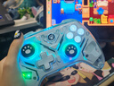 aolion澳加獅福音K10游戲手柄Switch2手柄Pro空洞騎士絲之歌PC電腦版steam雙影奇境無(wú)線(xiàn)藍牙手機安卓平板 福音全能游戲手柄 白色EVA-2 曬單實(shí)拍圖