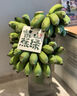 世喜吸管杯嘴 寶寶喝水喝奶 嬰兒學(xué)飲杯吸管嘴 曬單實(shí)拍圖