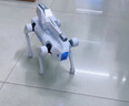 RWTW男孩玩具兒童智能遙控機器狗ai人工可編程智能送男孩生日禮物 AI握手-5萬(wàn)水彈白 3組充電鋰電池【雙+編程/遙控語(yǔ) 曬單實(shí)拍圖