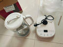 榮事達(dá)（Royalstar）養(yǎng)生壺24H保溫多功能家用電器優(yōu)選泡茶壺1.8L電熱水壺恒溫高硼硅玻璃電水壺 【不銹鋼濾網(wǎng)】 1.8L YSH180Z（L） 曬單實拍圖