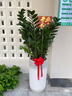 Only you【兩小時(shí)達】發(fā)財樹(shù)大型綠植花卉室內客廳辦公室開(kāi)業(yè)開(kāi)業(yè)喬遷送禮 金錢(qián)樹(shù)不含燈籠 曬單實(shí)拍圖