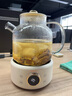 OIDIRE 德國OIDIRE 全玻璃養生壺花茶壺無(wú)膠水煮茶壺煮茶器辦公室花茶養生壺燒水壺電熱水壺燉煮智能保溫 1L ODI-HC01花茶養生壺【不帶濾網(wǎng)】 曬單實(shí)拍圖