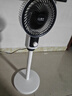 揚子電風(fēng)扇家用空氣循環(huán)扇落地扇遙控電風(fēng)扇家用電扇立式搖頭遙控辦公室桌面風(fēng)扇 【全網(wǎng)熱銷(xiāo)百萬(wàn)】機械搖頭款 曬單實(shí)拍圖