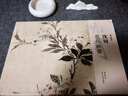 湖山畫(huà)譜  陳淳/沈周/惲壽平/八大山人/任伯年明代清代花鳥(niǎo)畫(huà)高清精校原色臨摹范本單片畫(huà)幅 全套5種 湖山畫(huà)譜（花鳥(niǎo)系列5冊） 曬單實(shí)拍圖