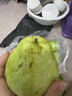 京鮮生白心芭樂(lè )凈重4.5斤單果150g+ 番石榴 脆果 新鮮水果源頭直發(fā)包郵 曬單實(shí)拍圖