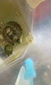 白眼清烏龜白眼病藥專(zhuān)用眼睛腫睜不開(kāi)白眼病巴西龜眼藥水小草龜 龜鱉白眼清 1瓶 特效藥 曬單實(shí)拍圖