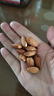 脆美人鹽焗巴旦木仁500g罐裝干果鹽焗去殼扁桃仁每日休閑零食堅果炒貨 曬單實拍圖