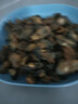 生曬牡蠣干生蠔干貨海蠣子蠔豉無(wú)沙干海鮮產(chǎn)品干貨非特級特大批發(fā) 0.5斤（200-250頭/斤） 曬單實(shí)拍圖