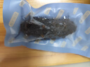 京東京造大連冷凍即食海參 凈重500g 家庭裝 8-10只 海鮮滋補 曬單實拍圖