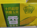十月稻田 黃糯玉米4.4斤(220g*10根) 低脂零食 早餐粗糧 中秋禮盒 東北 曬單實(shí)拍圖