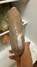洪湖農家順豐包郵 蓮藕新鮮 洪湖粉藕 蔬菜 生鮮5斤 火鍋食材 洪湖蓮藕 曬單實(shí)拍圖