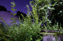 松下S5M2（20-60mm F3.5-5.6）（Panasonic）S5二代 全畫幅微單相機 約2420萬有效像素 新相位混合對焦 曬單實拍圖