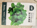 北蔬 薄荷種子留蘭香可食用驅蚊四季種陽(yáng)臺盆栽 留蘭香薄荷籽約3000粒 曬單實(shí)拍圖