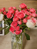 一網(wǎng)情深多頭玫瑰鮮花云南昆明基地直發(fā)鉆石小玫瑰泡泡芭比水養花束辦公室 蘇菲多頭泡泡10枝 曬單實(shí)拍圖