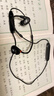 森海塞爾IE100PRO入耳式HIFI有線耳機專業(yè)監(jiān)聽音樂舞臺耳返隔音BT無線藍牙掛脖耳塞生日開學教師節(jié)禮物禮品 IE100PRO-黑色【藍牙/有線兩用】 曬單實拍圖