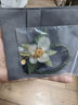 She's梵高玫瑰疊花刺繡發(fā)繩高檔橡皮筋頭繩輕奢發(fā)圈教師節(jié)禮物 曬單實(shí)拍圖