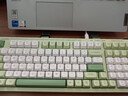 惠普（HP） K300有線輕音鍵盤(pán) 清新配色98配列多種背光電競(jìng)吃雞筆記本臺(tái)式電腦外設(shè)辦公游戲鍵盤(pán) 青草綠三拼色白芯 曬單實(shí)拍圖