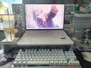機械革命【國家補貼20%】極光X 酷睿i7HX 游戲本筆記本電腦(i7-13700HX 16G 1T RTX5060 2.5K屏 180Hz 白) 曬單實拍圖