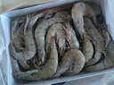 鮮京采 厄瓜多爾白蝦 凈重3斤/盒 特大號20-30規格   30-45只/盒 曬單實(shí)拍圖