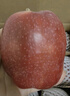 沐小七果蔬甘肅天水花牛粉面蘋(píng)果 【順豐極兔速運-可送貨上門(mén)】水果送禮蛇果 S+稀有果王（單果約80mm+） 10斤裝【家庭聚會(huì )-蕞劃算】?jì)?斤 曬單實(shí)拍圖