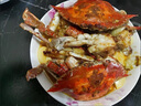 梭子蟹鮮活特大野生舟山大螃蟹海鮮新鮮冷凍海蟹水產(chǎn)飛蟹白蟹順豐 7-9兩/只 【凈重5斤特大梭子蟹】 曬單實(shí)拍圖