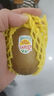 佳沛（zespri）新西蘭 陽(yáng)光金奇異果12粒禮盒特大果單果約122-146g 獼猴桃 水果 曬單實(shí)拍圖