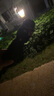 天堂 加大雨傘三折 晴雨兩用商務(wù)傘10骨大雨傘男女 藏青 曬單實(shí)拍圖