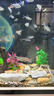 萌嘟星寵 仿真水草魚(yú)缸造景套裝水族箱布景裝飾擺件假植塑料假水草 5件套 曬單實(shí)拍圖