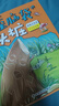 萬(wàn)物復書(shū)25秋二年級 玩具醫院大頭兒子和小頭爸爸 一只想飛的貓精編注音版 歪腦袋木頭樁精編注音版 池塘邊的花斑貓小巴掌童話(huà) 三毛流浪記全集上下正版贈導讀單 《歪腦袋木頭樁》+導讀單 曬單實(shí)拍圖