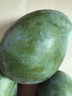 京鮮生 攀枝花凱特芒果 凈重8.5斤 帶箱9斤 單果400g+ 生鮮水果源頭直發(fā) 曬單實(shí)拍圖