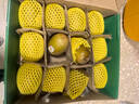 佳沛（zespri）新西蘭 陽光金果12粒單果約122-146g 獼猴桃 中秋水果禮盒 曬單實(shí)拍圖