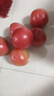 京鮮生沙瓤粉西紅柿 凈重3斤 單果100g+果菜兩吃 源頭直發(fā) 【搜生鮮館】 曬單實(shí)拍圖
