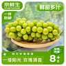 京鮮生云南陽光玫瑰青提2.8-3.3斤裝單果8-10g葡萄提子生鮮水果源頭直發(fā) 曬單實拍圖