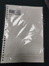 齊心（COMIX）B5/60張活頁本替芯26孔 筆記本子活頁紙考研復(fù)習(xí)作業(yè)本單本學(xué)生文具用品 橫線ECNB560 曬單實(shí)拍圖